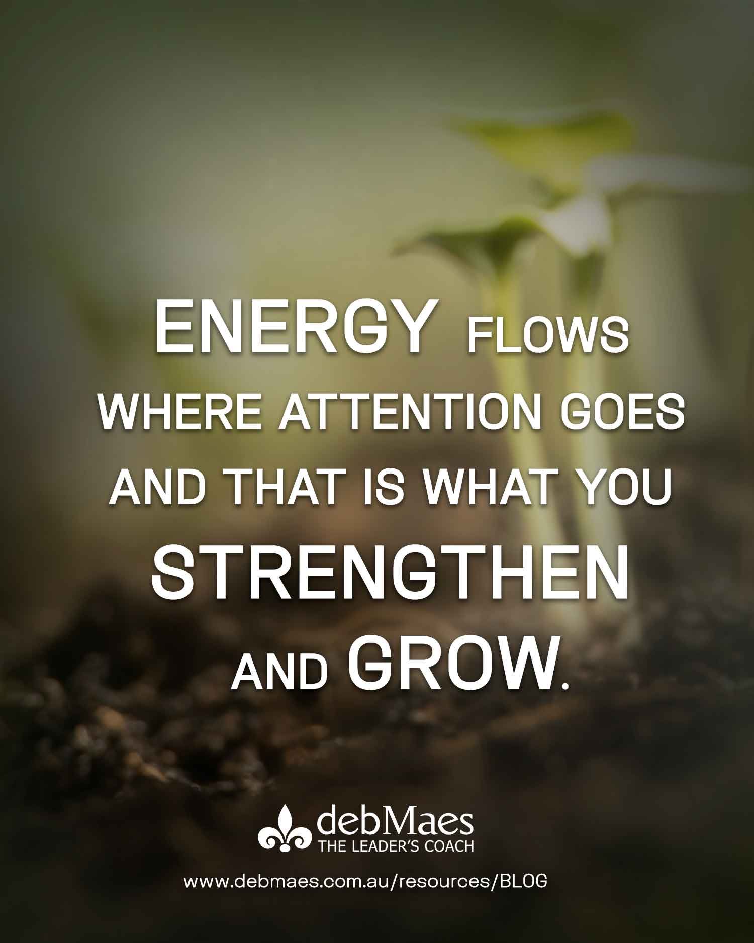 energy flows where attention goes and that is what you strengthen and grow